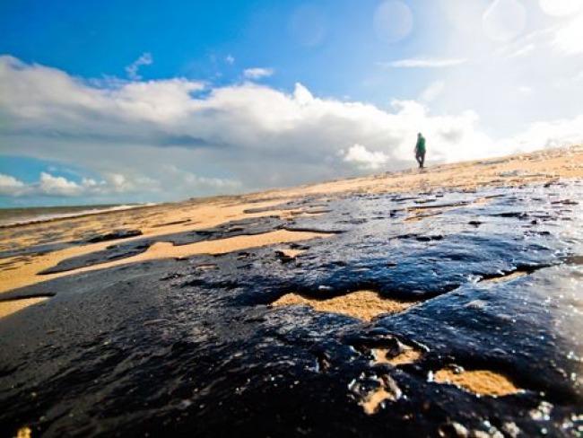 Pernambuco registra 19 casos de intoxicação causados pelo óleo removido das praias