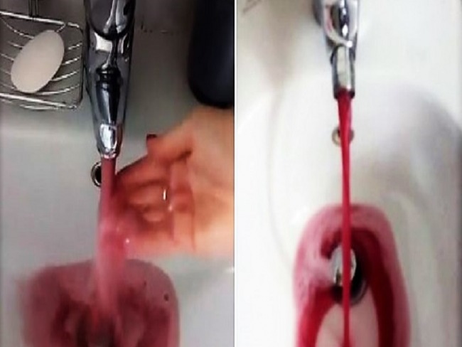 Milagre? Na Itália, água dá lugar a vinho nas torneiras