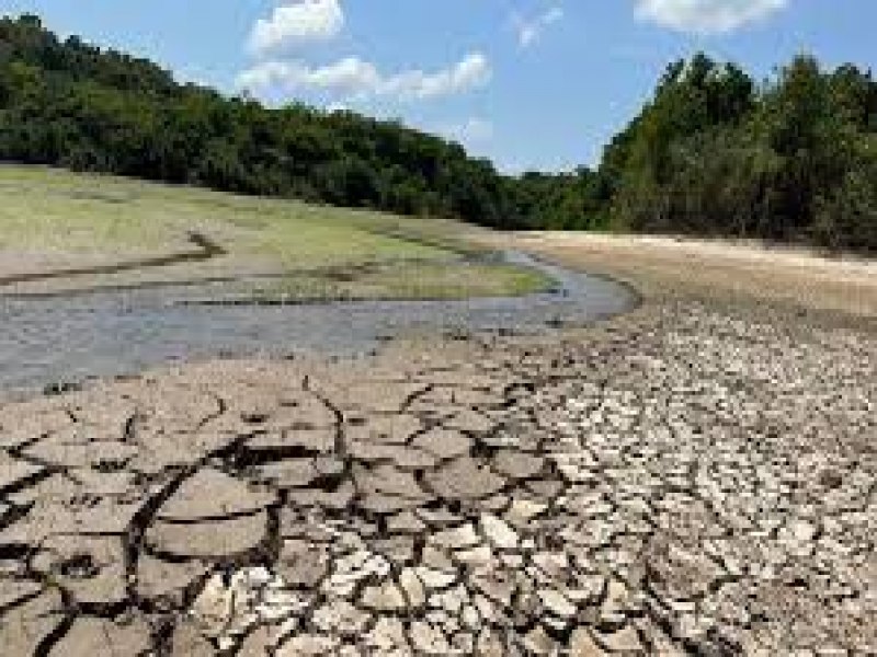 Incndios e seca na Amaznia e no Pantanal 