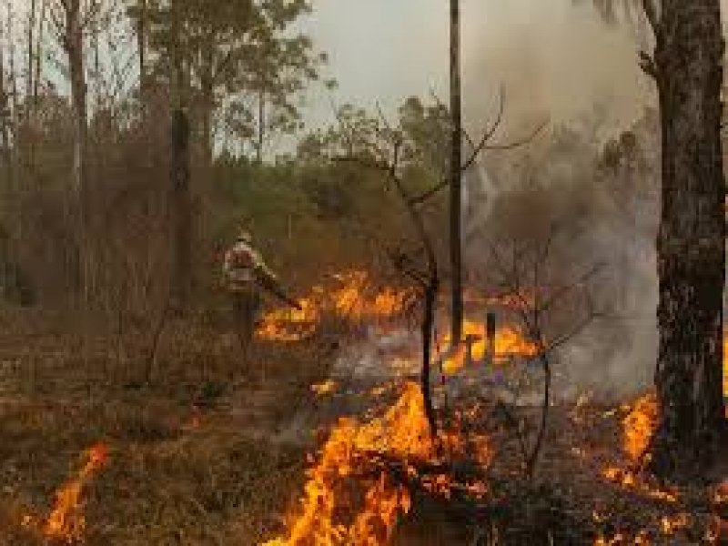 Brasil tem 22,38 milhes de hectares atingidos pelo fogo em nove meses