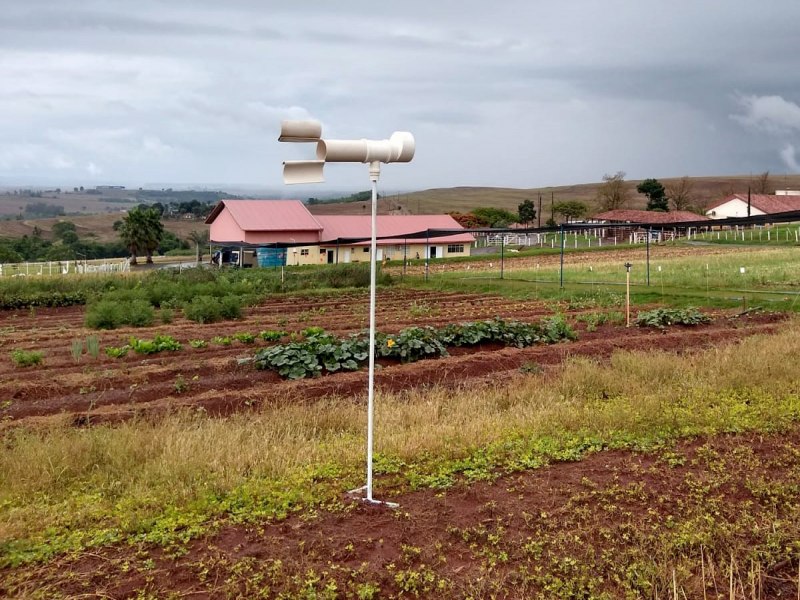 Pesquisadores do Paran usam Inteligncia Artificial para combate da ferrugem da soja