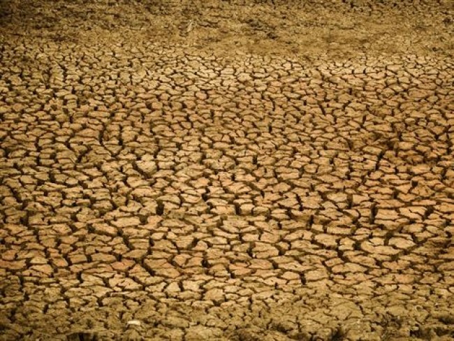 Governo decreta emergncia em Inaj e Tacaratu e mais 52 municpios do Serto por causa da seca