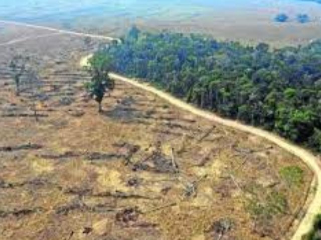 Desmatamento na Amazônia brasileira registra recorde em setembro
