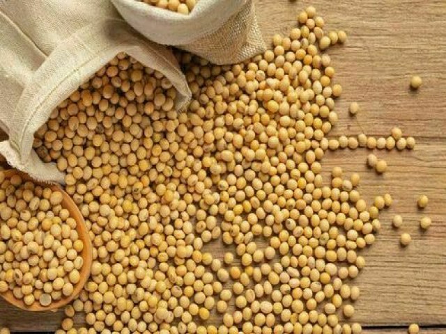 INDICADORES: Preo da soja sobre nesta tera-feira (11)