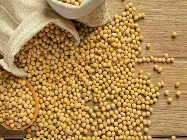 INDICADORES: preo da soja cai nesta quinta-feira (13)