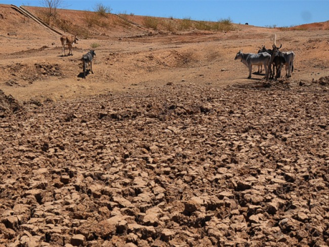 Seca e estiagem deixam 25 cidades no Piau em estado de emergncia