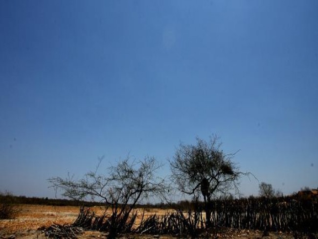 Piau chega a 86 municpios em estado de emergncia por conta da seca