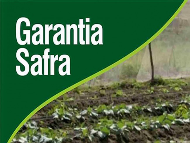 No Piau, 34 mil agricultores vo receber o Garantia Safra