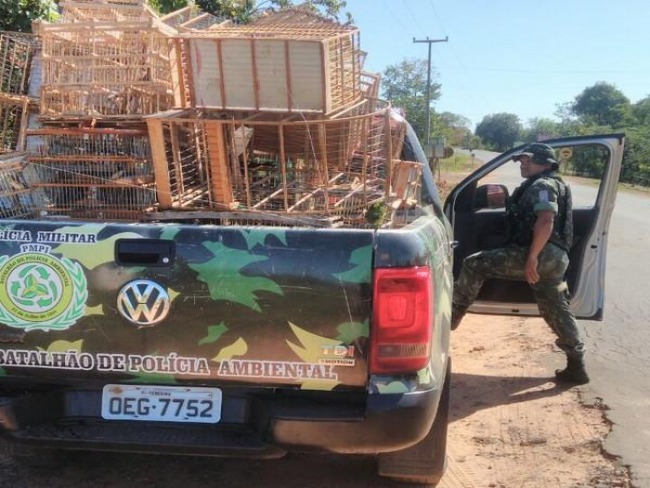 Fiscalizao prende seis pessoas por crime ambiental e recolhe 15 kg de animais abatidos no Piau