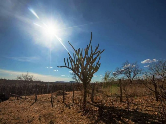 Os municpios de Betnia do Piau e Guaribas decretaram situao de emergncia devido  seca