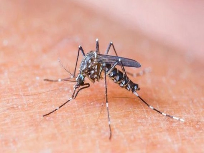 Primeiro caso de 2019 de zika vrus  notificado no Piau e (Sesapi) faz alerta