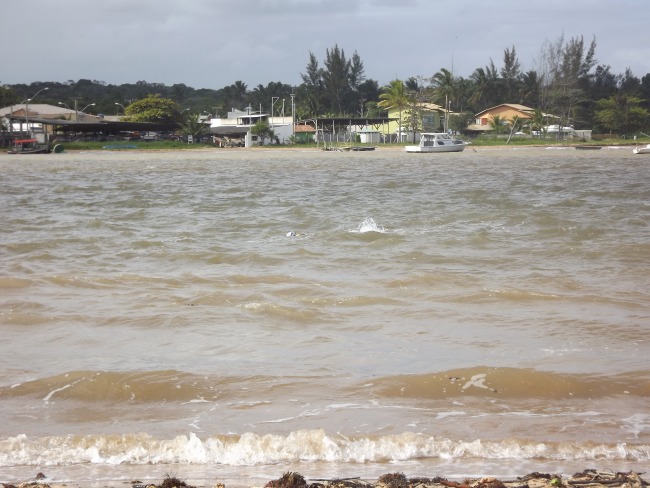 Frente quer solues para problemas enfrentados pelo rio Piraqu-au