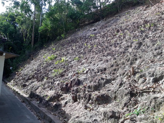 Morro em Santa Cruz sofreu desmatamento