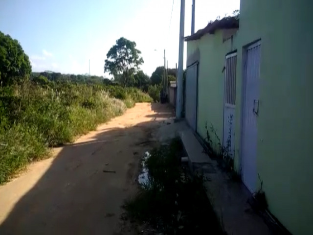 Escorpies, cobras e aranhas: o perigo mora ao lado em bairro de Jacupemba