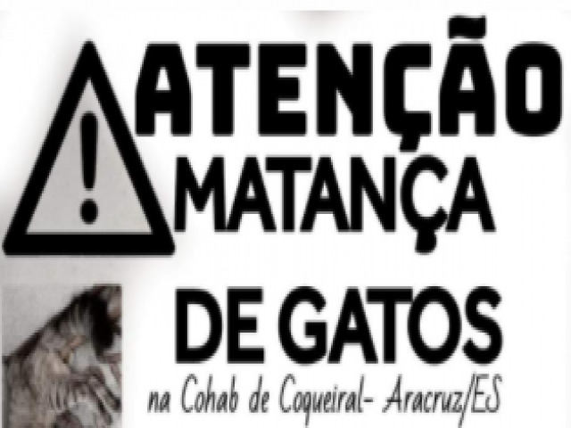 Matana de gatos por envenenamento  identificada em bairros da Orla