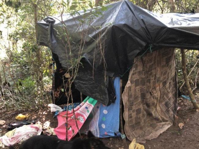 Acampamentos de traficantes so desmontados em Amlia Rodrigues
