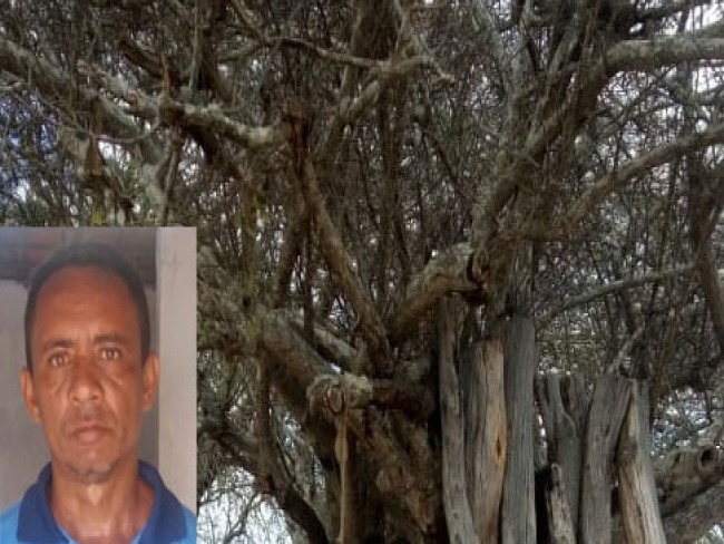  Homem  encontrado morto pendurado em rvore na zona rural de Araci 