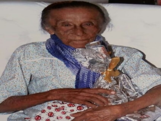 Quixabeira: Idosa de 104 anos e mais seis pessoas, so atingidas por abelhas. Estado dela  grave. 