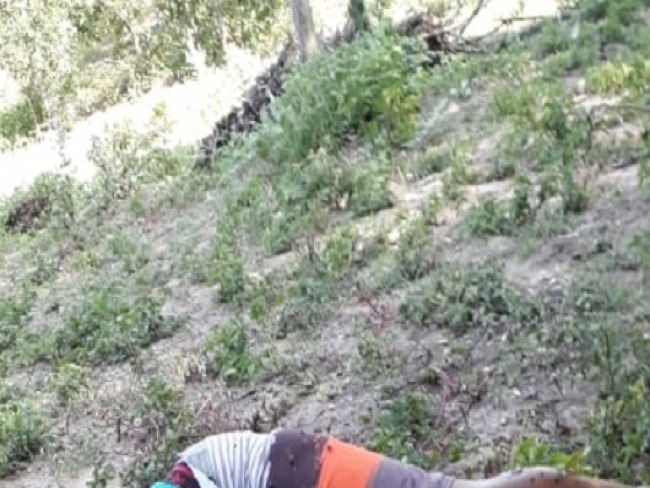 Corpo de adolescente de 12 anos raptado em Santaluz  encontrado em Valente