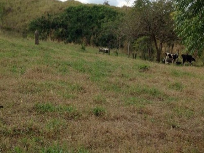 Macarani: Jovens assaltam fazenda e na fuga morrem em acidente