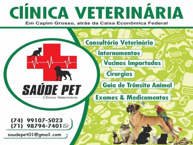 Clnica Veterinria de Capim Grosso o hospital do seu animal de estimao