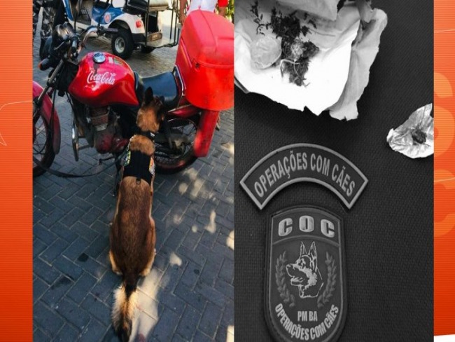 Maconha  encontrada na moto da Coca em abordagem na Barra