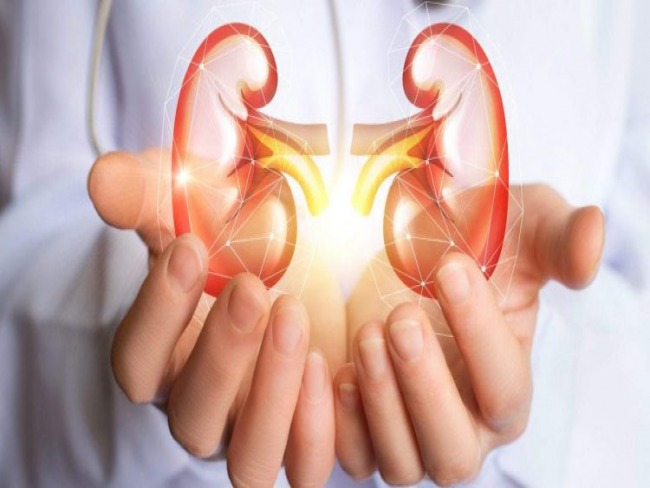 Sade alerta para preveno e diagnstico precoce de doena renal