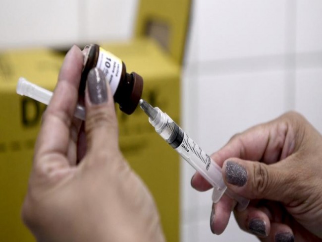 Vacina da febre amarela pode proteger contra zika, indica estudo brasileiro