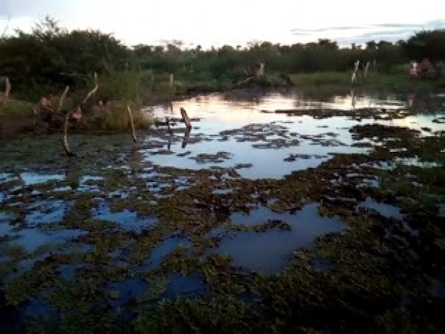 Jovem morre afogado no municpio de Vrzea da Roa 