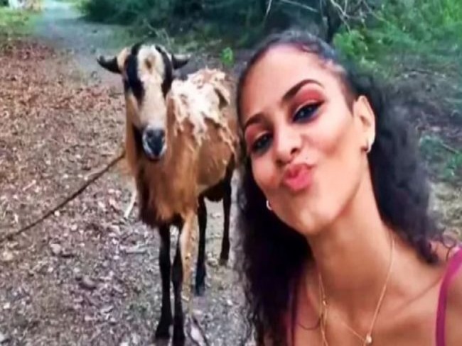 Ela s queria ganhar curtidas com selfie ao lado de cabra, mas acabou se dando mal, assista vdeo