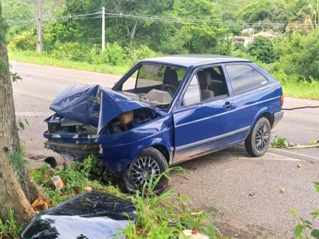 Carro colide em rvore s margens da BR-324, em Jacobina; SMTT sinaliza local