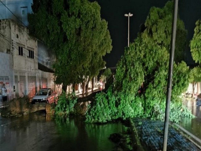 Temporal atinge a cidade derruba vrias rvores e interditam ruas em Barreiras-BA. veja vdeo