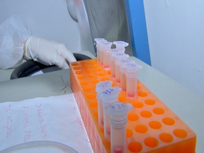 Secretaria de Sade confirma 4 novos casos de coronavrus na BA; 3 pacientes so diagnosticados em Salvador