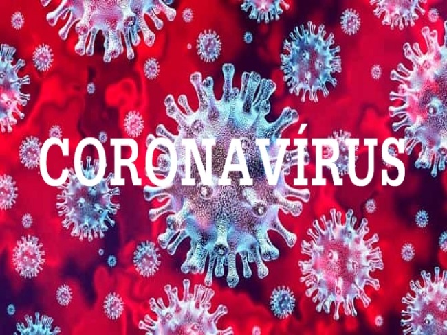Primeiro caso de infeco pelo novo coronavrus  confirmado em Valente