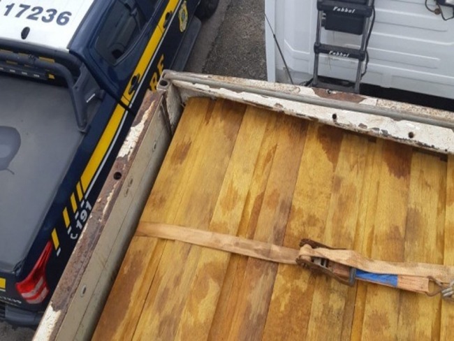 Motorista  detido ao ser flagrado transportando madeira ilegal para Capim Grosso