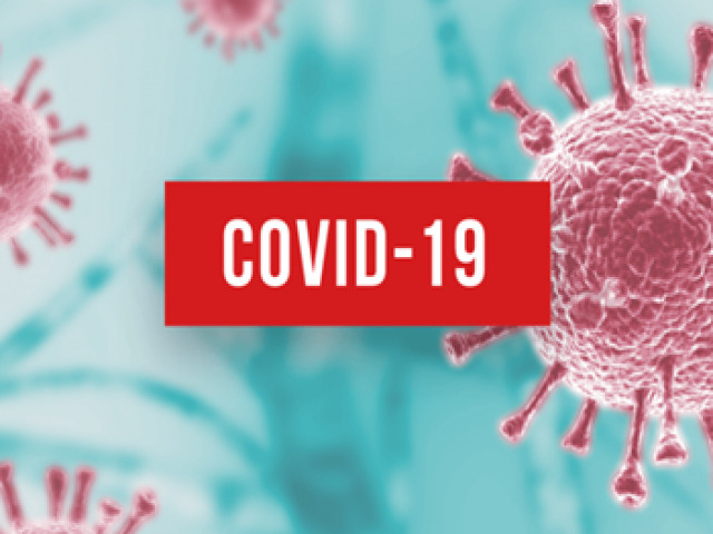 Capim Grosso: Seis novos casos do covid-19 so confirmados e oito esto recuperados