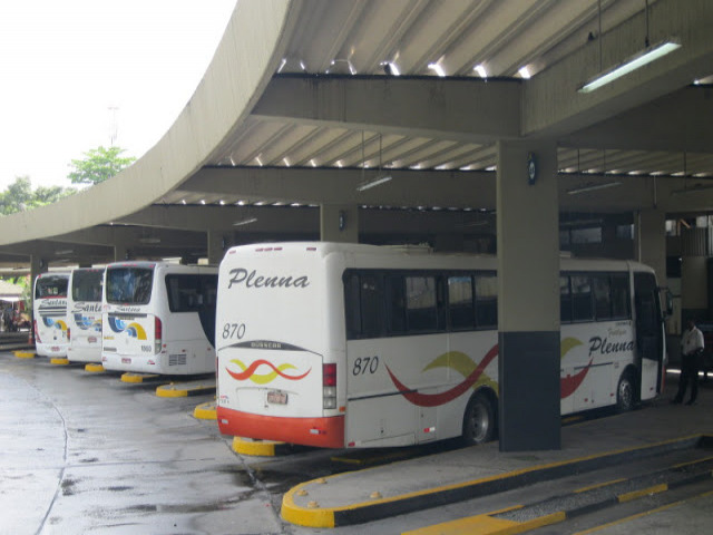 Capim Grosso e mais 302 municpios tem transporte coletivo intermunicipal liberado