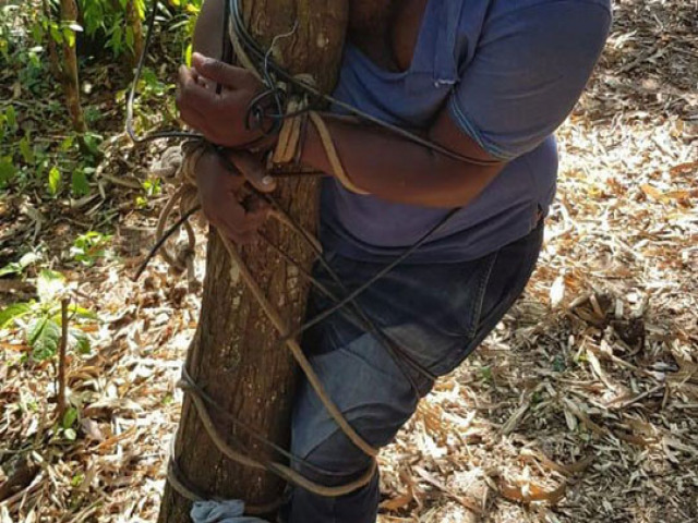 Motorista de transporte por aplicativo  sequestrado e encontrado amarrado em rvore na Bahia