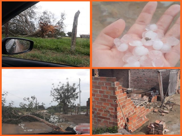 Chove granizo e vento arranca rvores na Visgueira e no Felix, na regio em Ibiapor de Mundo Novo-BA.