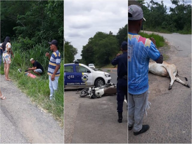 Homem fica ferido aps colidir moto com animal na BR-324 em Jacobina