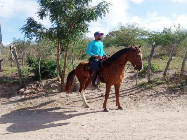 Miguel Calmon: Adestrador de cavalos morre aps sofrer acidente na tarde desta sexta (15)