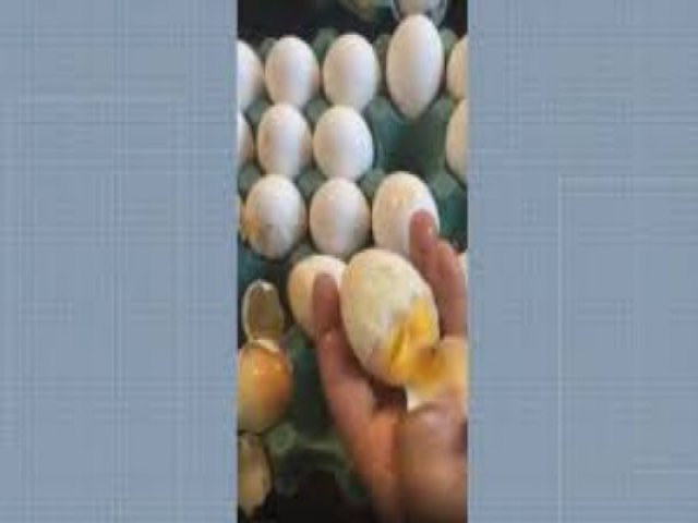 Calor no RJ: Funcionrio de lanchonete encontra ovos j cozidos dentro da caixa