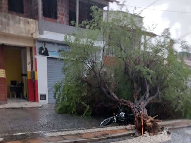 rvore cai e atinge moto durante chuva acompanhada de ventos fortes em Santaluz