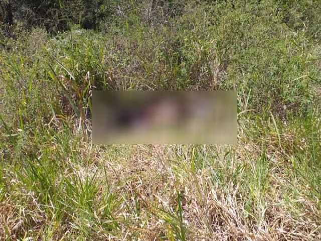 Jacobina: Dois corpos so encontrados na Serra do Tombador