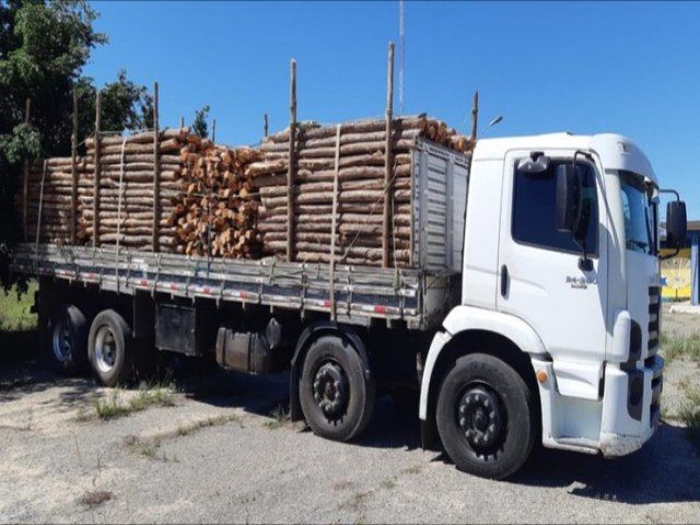 Capim Grosso: PRF apreende madeira transportada ilegalmente na BR-324