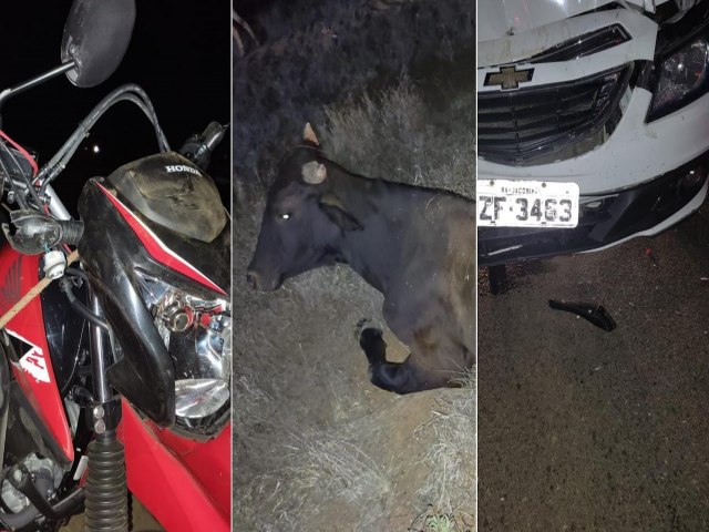 Jacobina: Casal fica ferido aps moto atingir animais em Lages do Batata