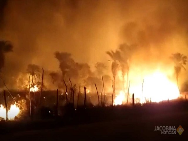 Jacobina: Incndio em vegetao assusta moradores em Novo Paraso