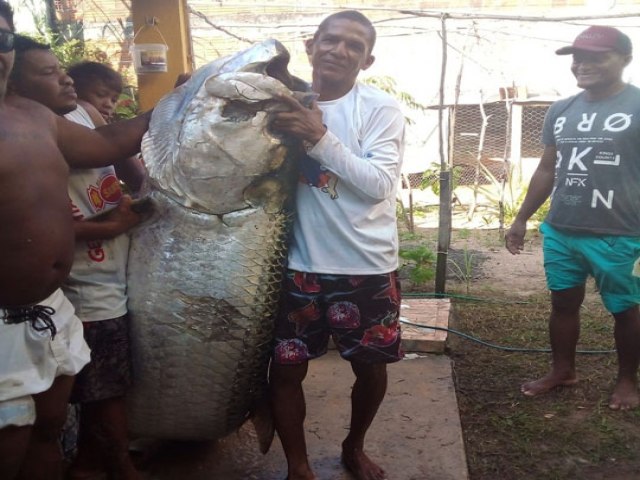 Pescador captura peixe de mais de 100 quilos: Foi luta pra tirar da gua