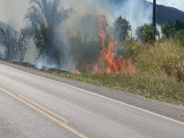 Jacobina: Incndio de Grande proporo cinsome margem da BR 324 proximo ao Distrito de Novo Paraso