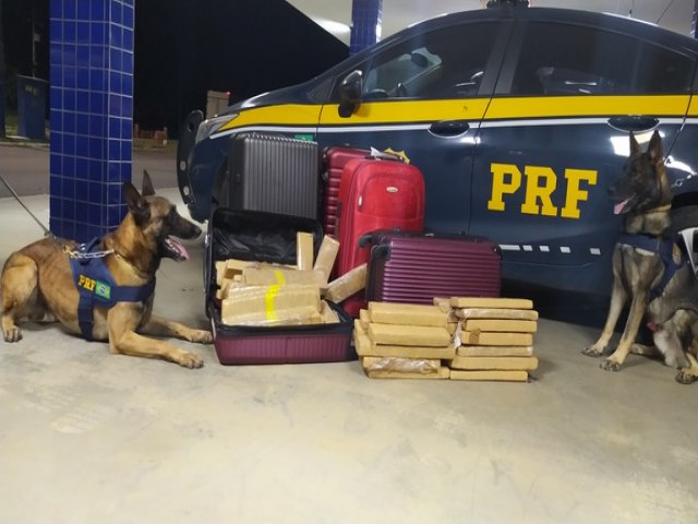 PRF apreende mais de 120 Kg de maconha e prende quatro pessoas, trs por trfico e uma por ter furtado os pertences de um dos traficantes